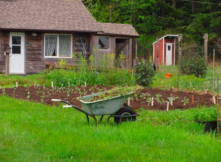 Denman Island Garden